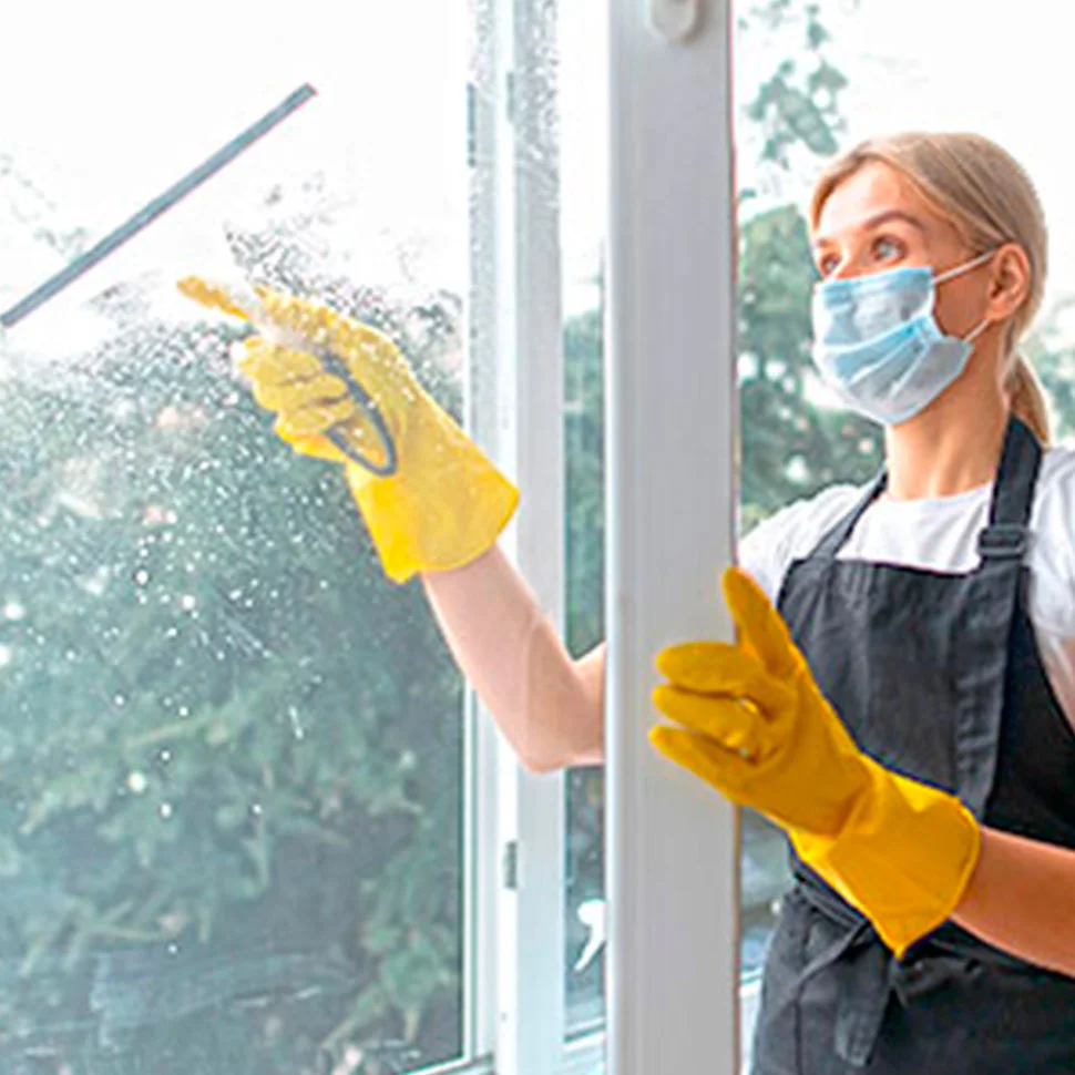 Gutter Cleaning